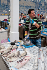 Setubal fish market