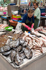 Setubal fish market